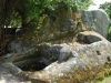 quinta1